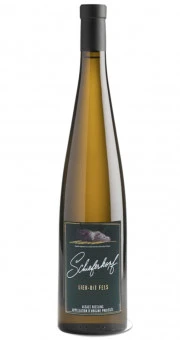 Schieferkopf & M. Chapoutier Lieu-dit Fels 2021